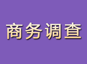 海盐商务调查